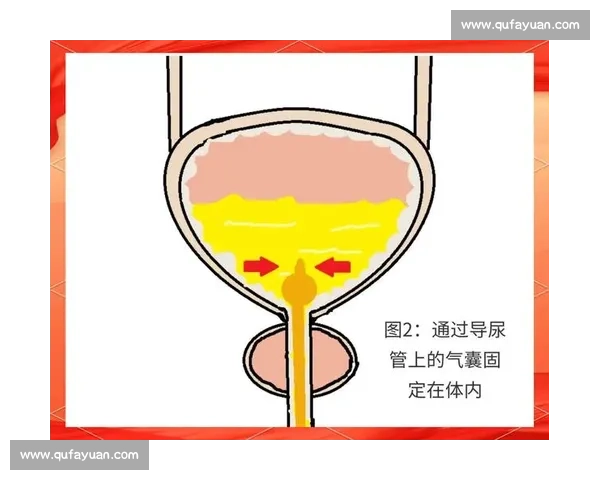 掌握节奏核心技巧提升效率与生活节奏的全面指南